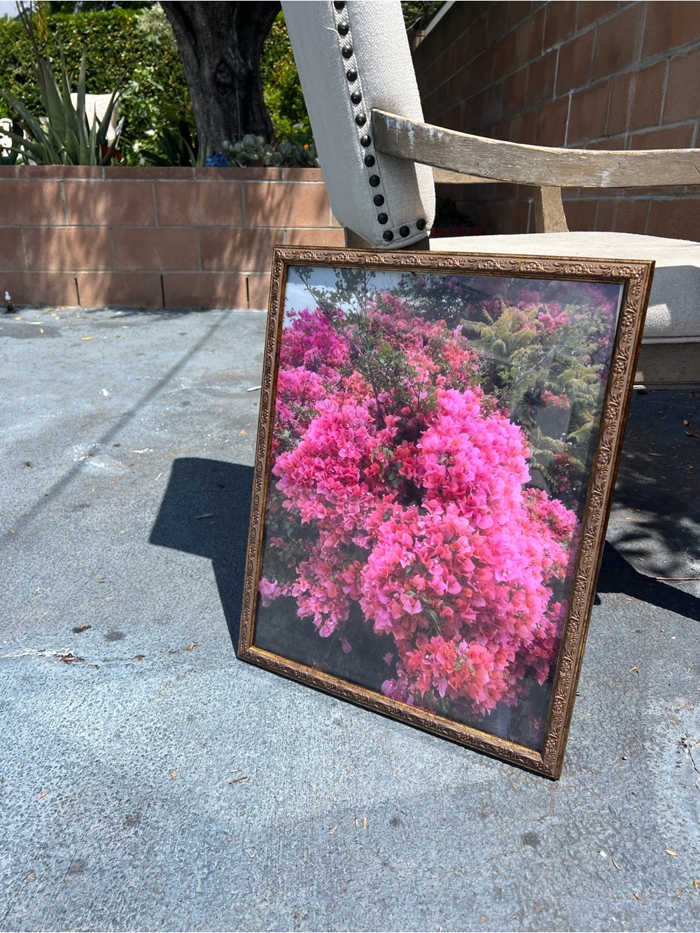 Framed Pink Floral Wall Art